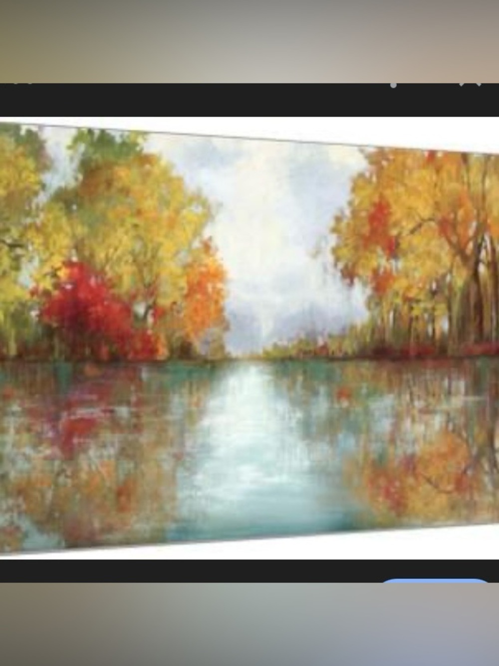 “ Forest Reflection" art print by Andrew Michaels.